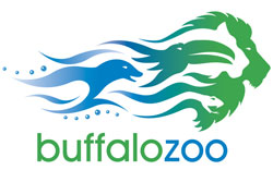 buffalo zoo